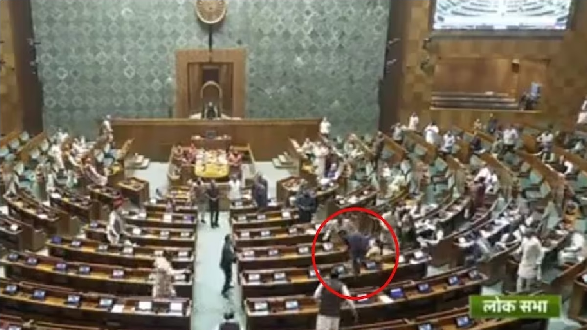 Parliament Security Breach 4