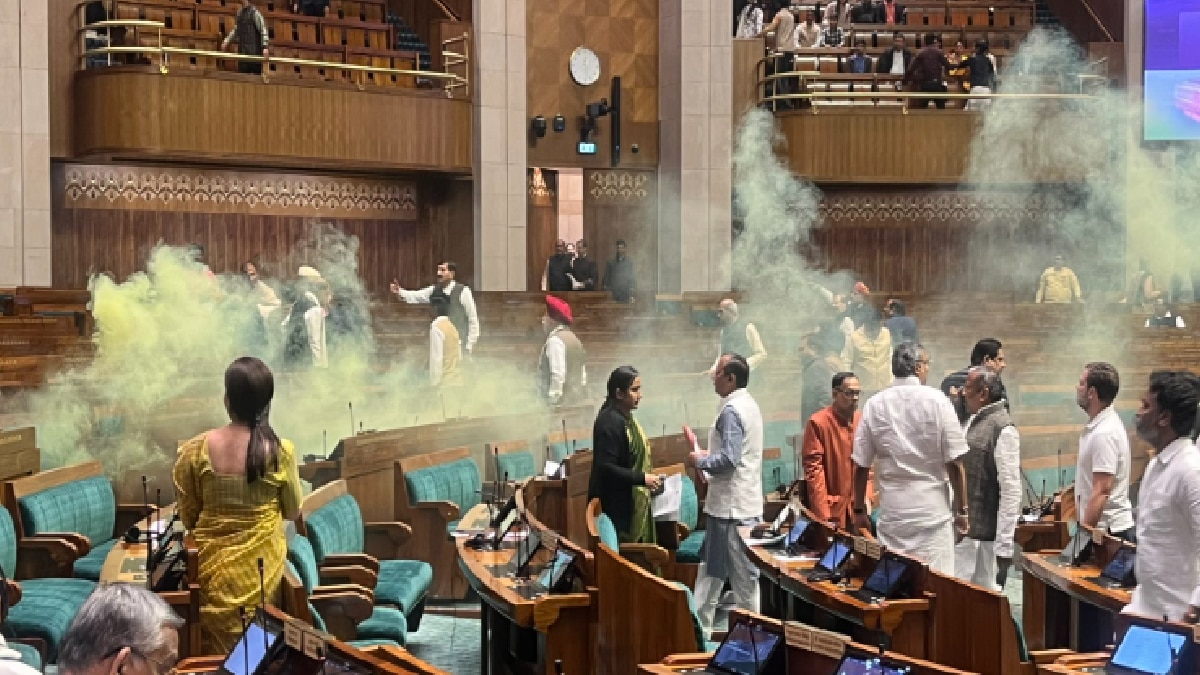 Parliament Security Breach (Pic Credit: @DrSenthil_MDRD)