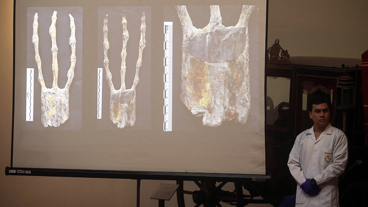 Alien Mummies Peru Dolls of Bones