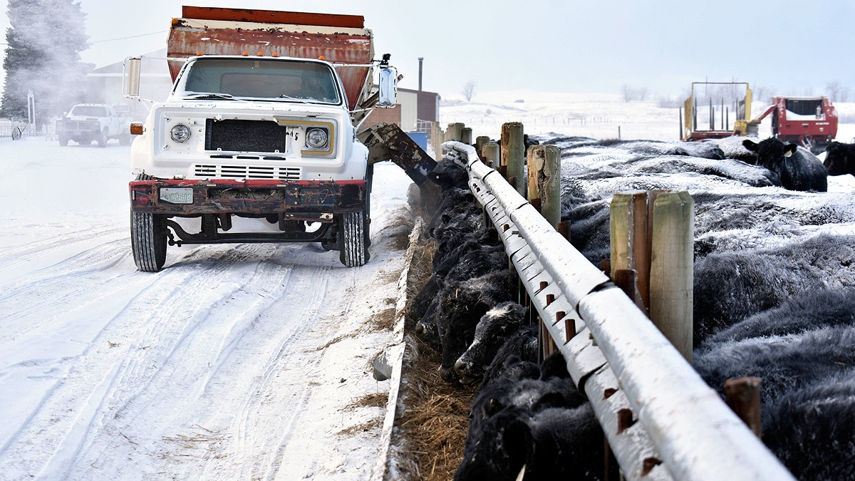 Arctic Blast Chilly Weather US