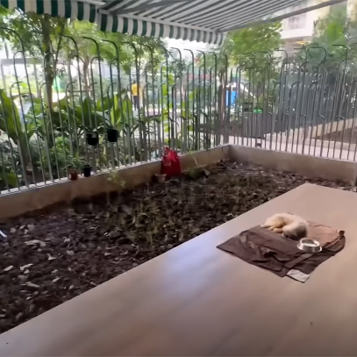 माही विज हाउस 