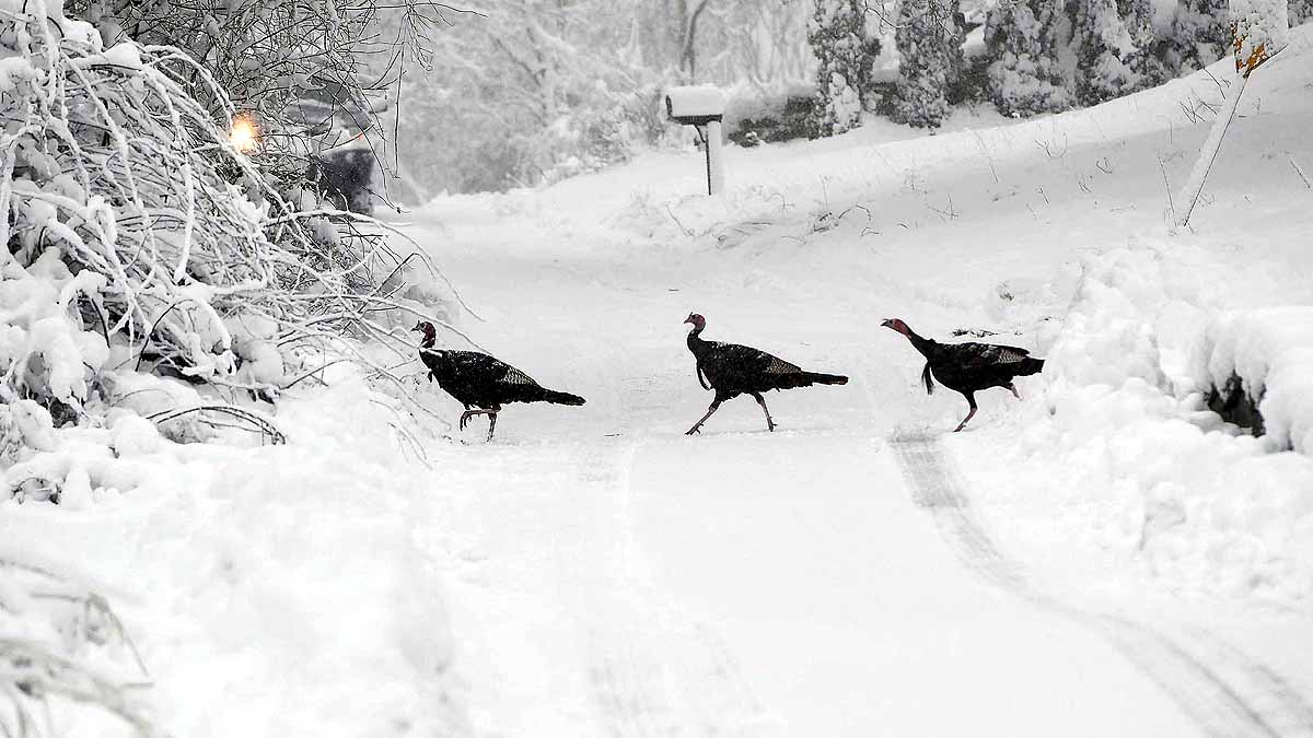 First Winter Storm In US
