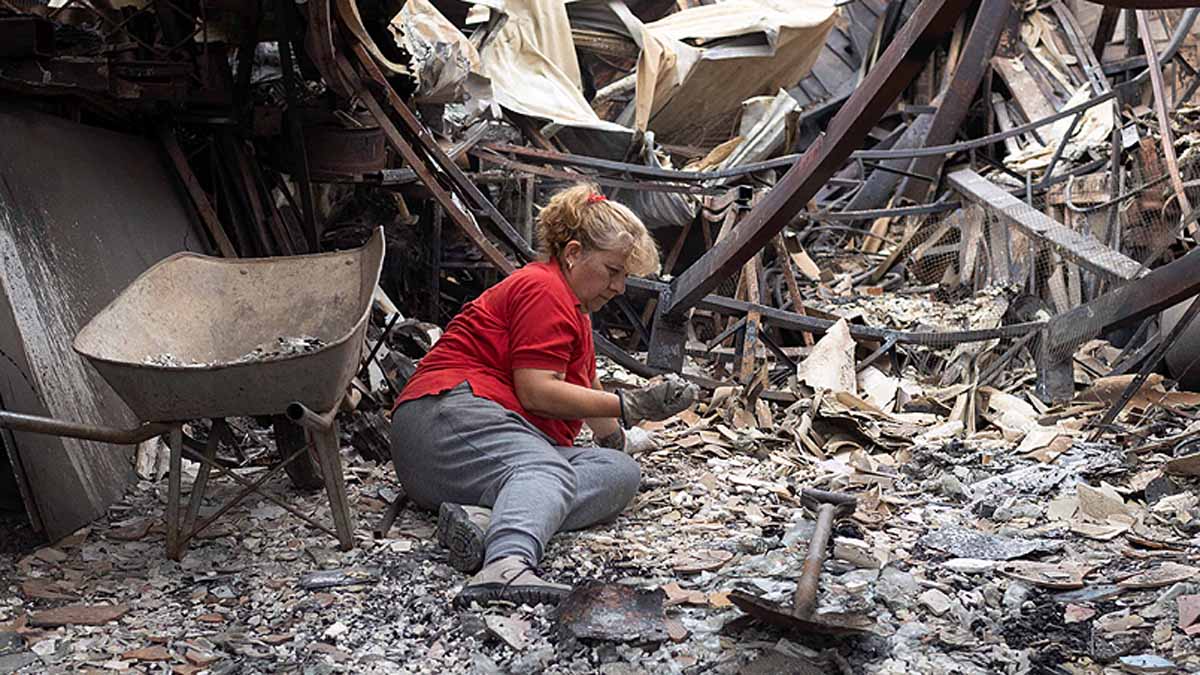 Chile, Wildfires, Forest fires