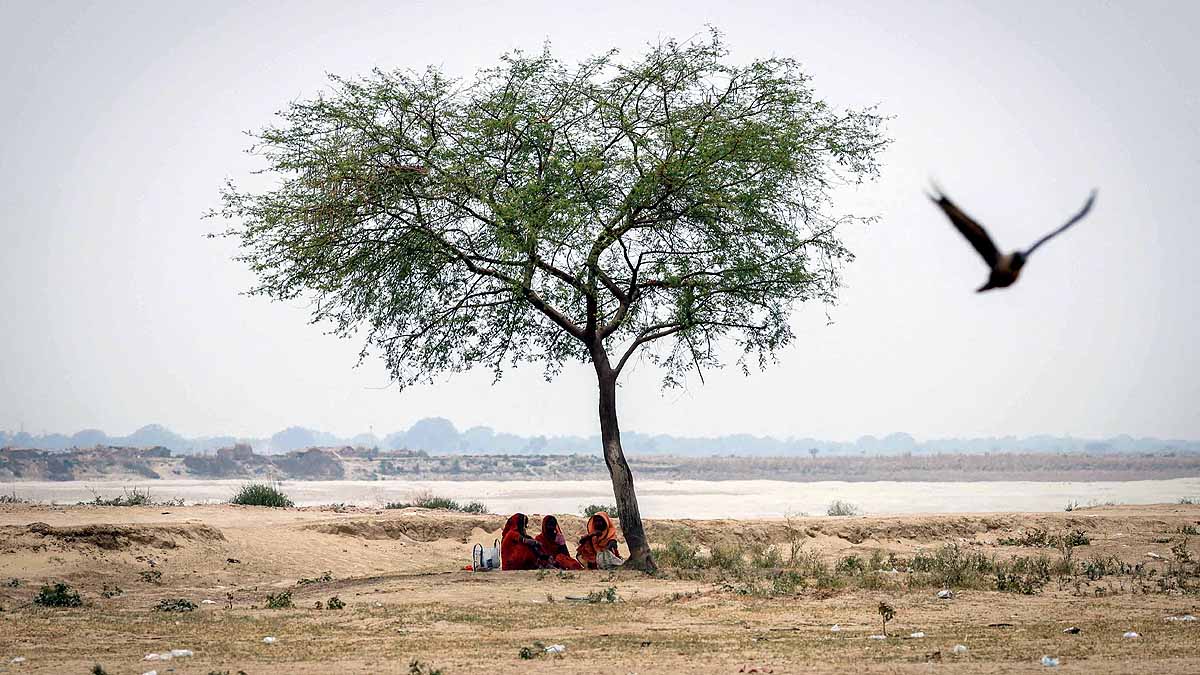 India, Heatwave, Summer