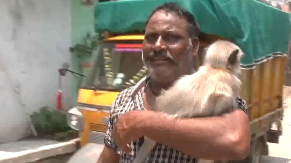 lok sabha election voting phase 2 updates