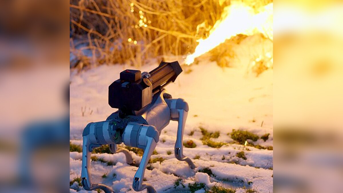 Flamethrowing Dog Thermonator