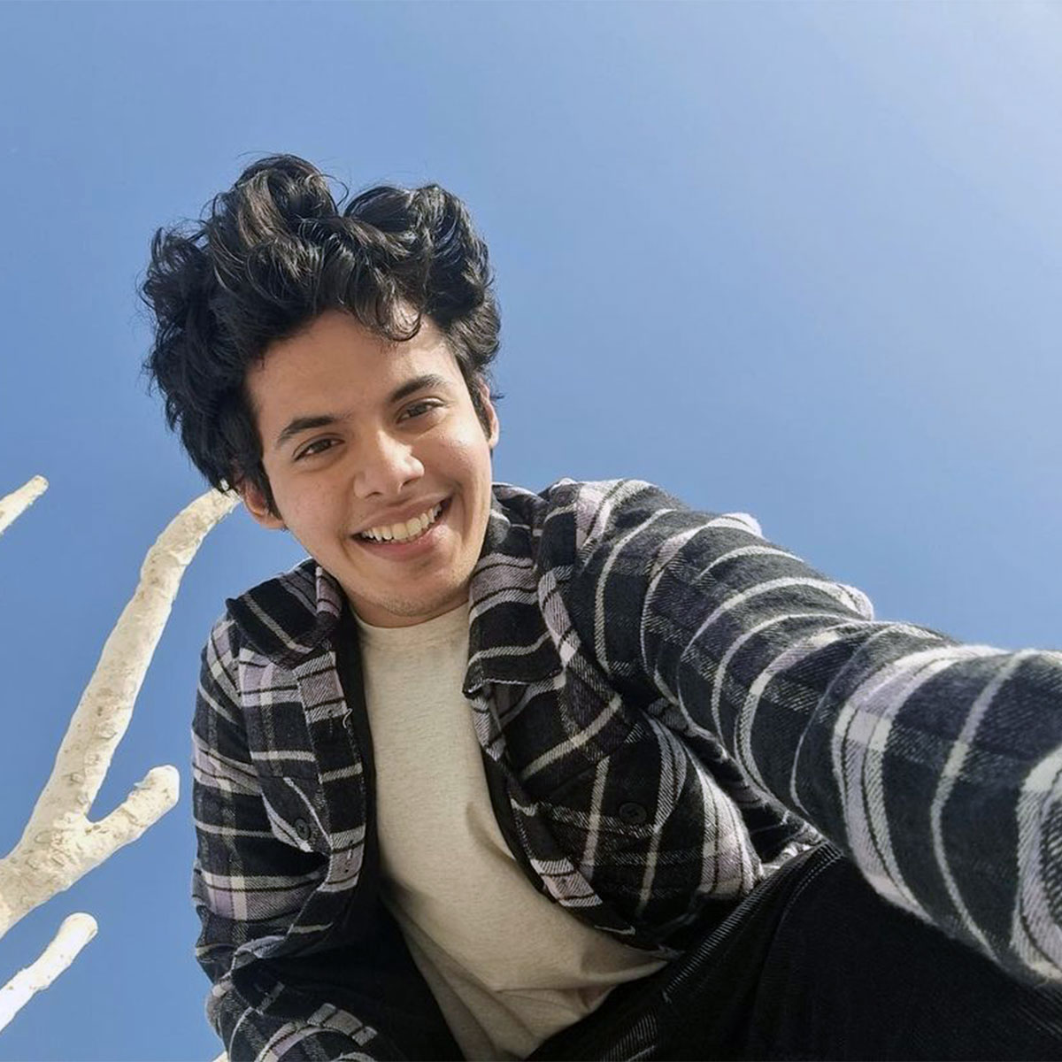 दर्शील सफारी