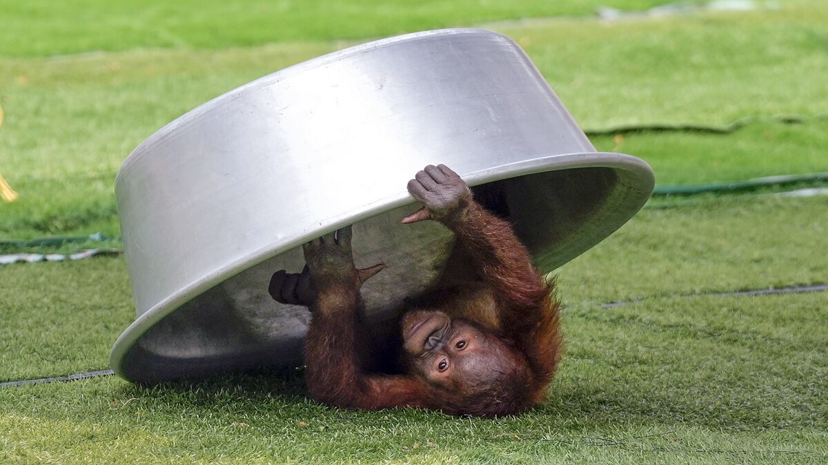 Protect from heat (PTI)