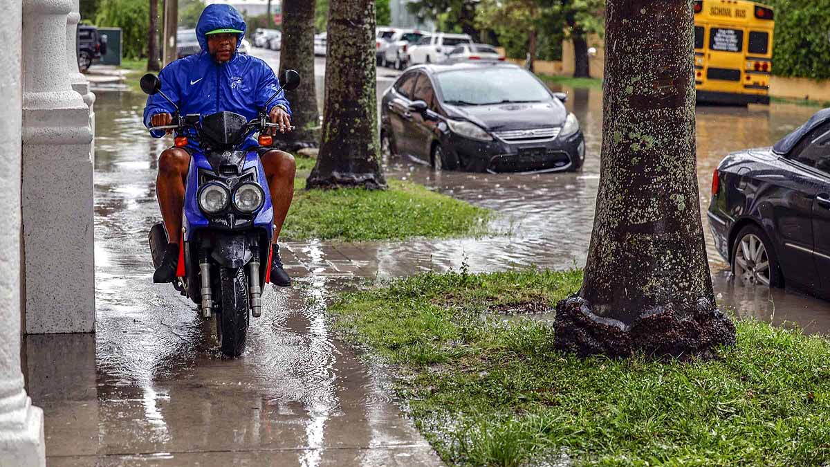 Florida, Flash Flood, Hollywood