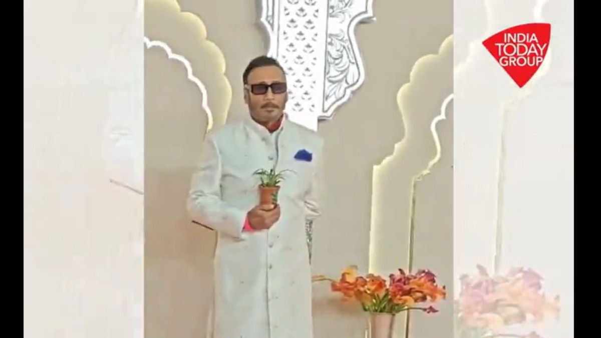 अनंत राधिका शादी 