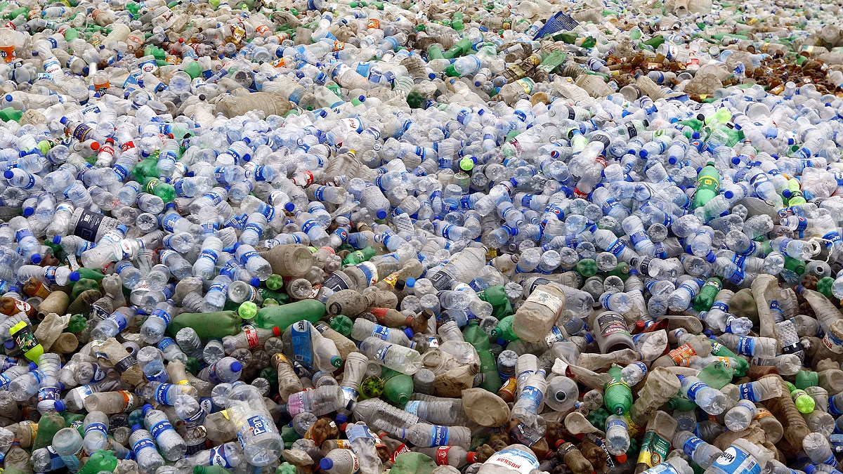 Delhi, Pollution, Garbage Dump