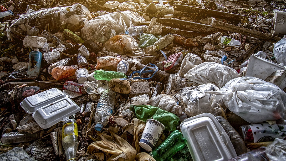 Delhi, Pollution, Garbage Dump