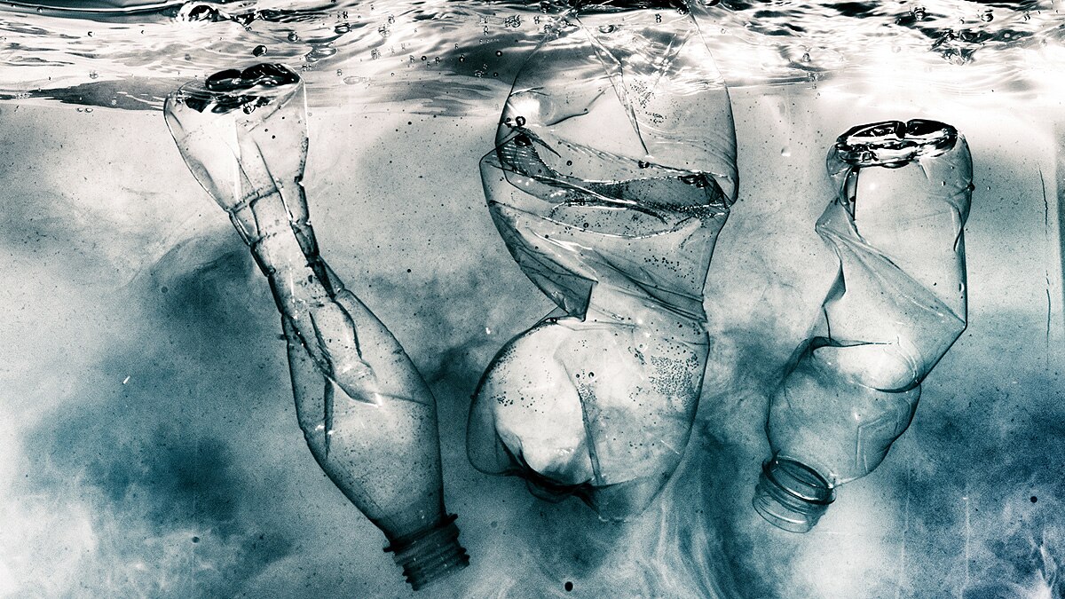 Delhi, Pollution, Garbage Dump