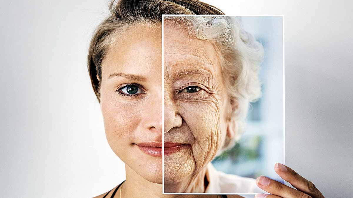 Human Aging in Two Waves
