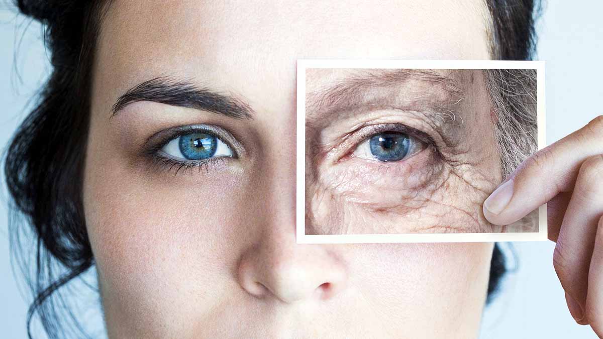 Human Aging in Two Waves