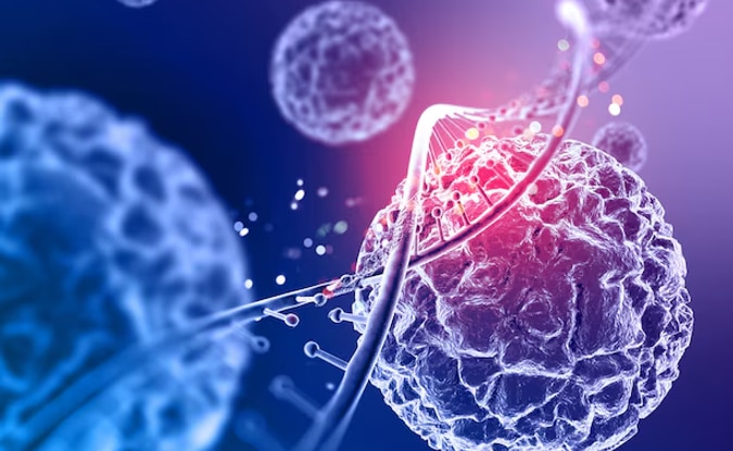 हार्मोन नियंत्रित करे