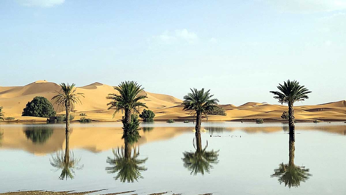 Sahara Desert, Floods, Rainfall