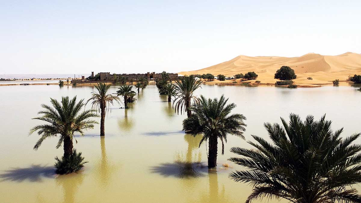 Sahara Desert, Floods, Rainfall