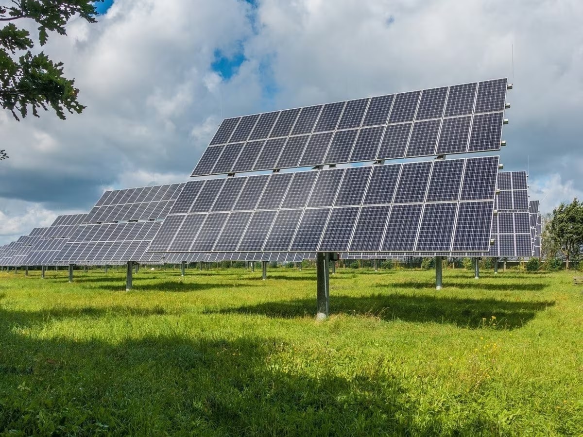 NTPC Green Energy के आईपीओ को ठंडा रिस्पॉन्स