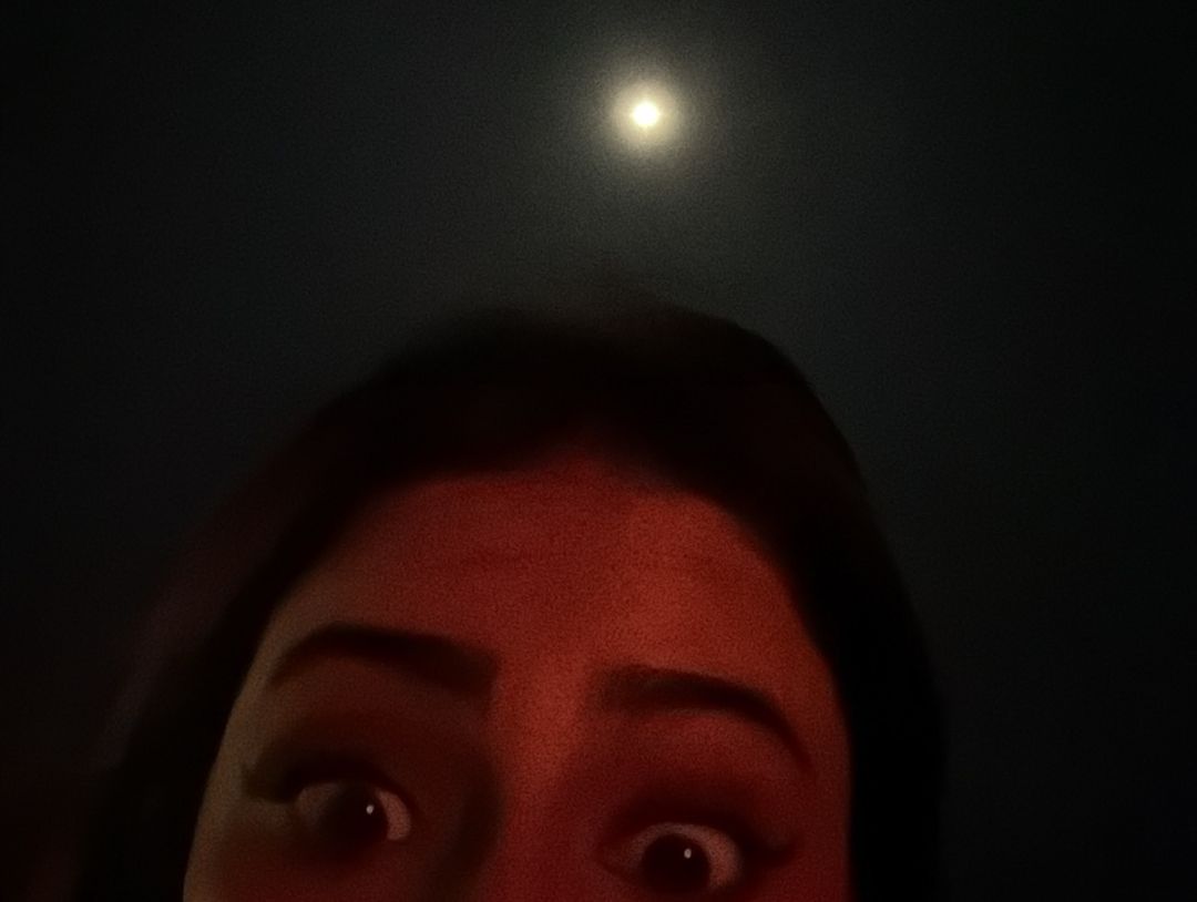 पलक तिवारी