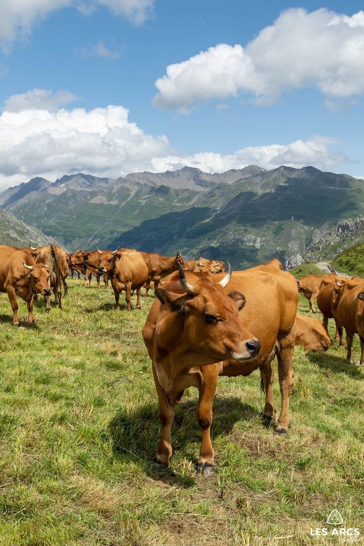 सर्दियों में इन टिप्स को करें फॉलो