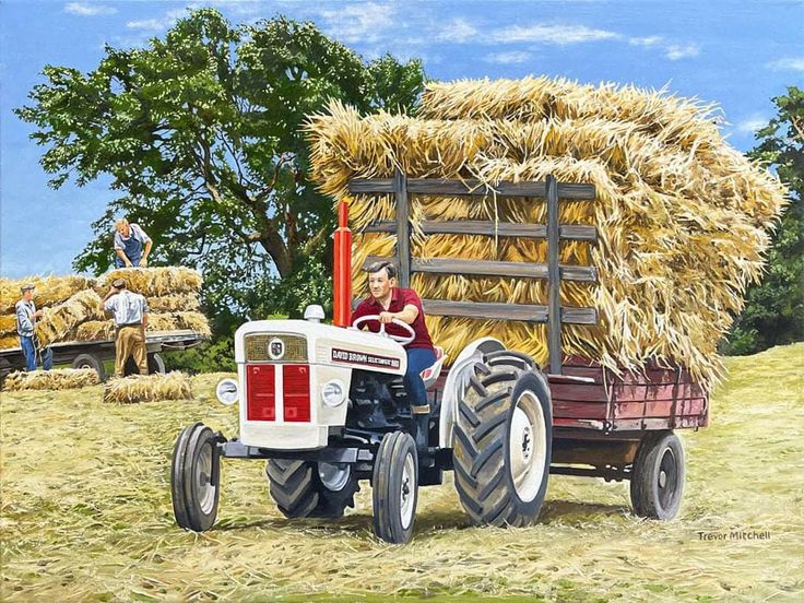 ट्रैक्टर का रजिस्ट्रेशन सर्टिफिकेट, Insurance और Pollution Certificate चेक करें 