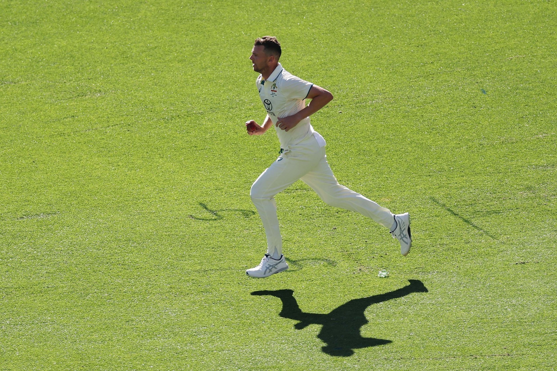 Josh Hazlewood-2