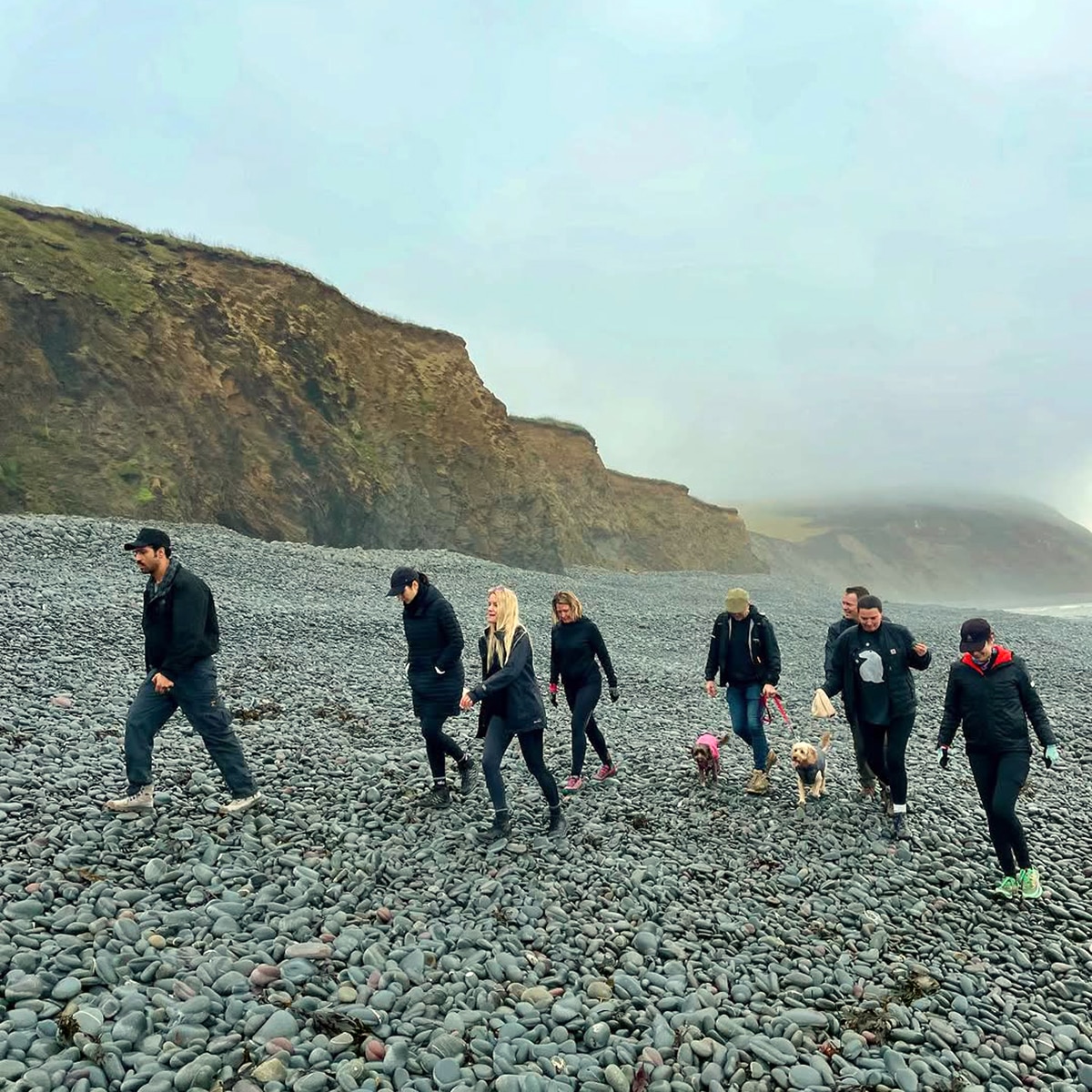 विक्की-कटरीना