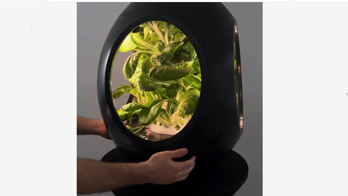 Smart Garden के साथ स्पेशल इफेक्ट्स 