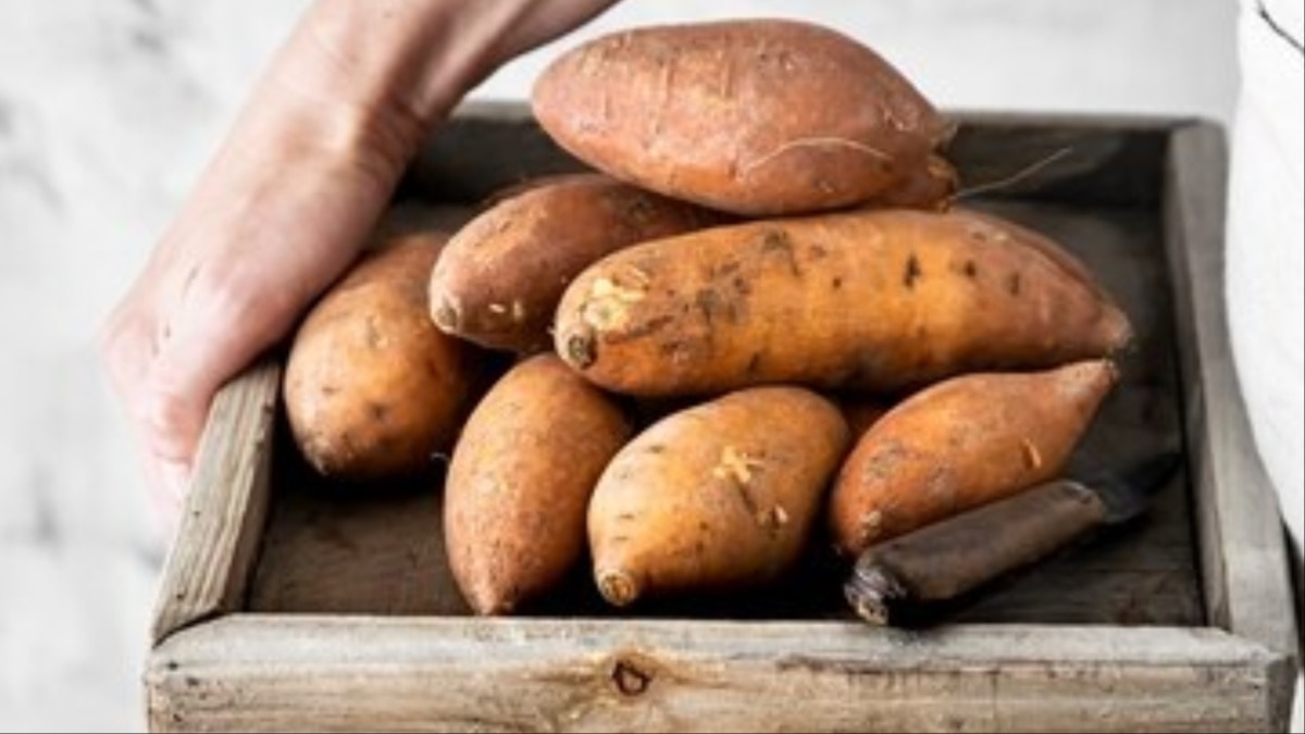 सन डैमेज से बचाए