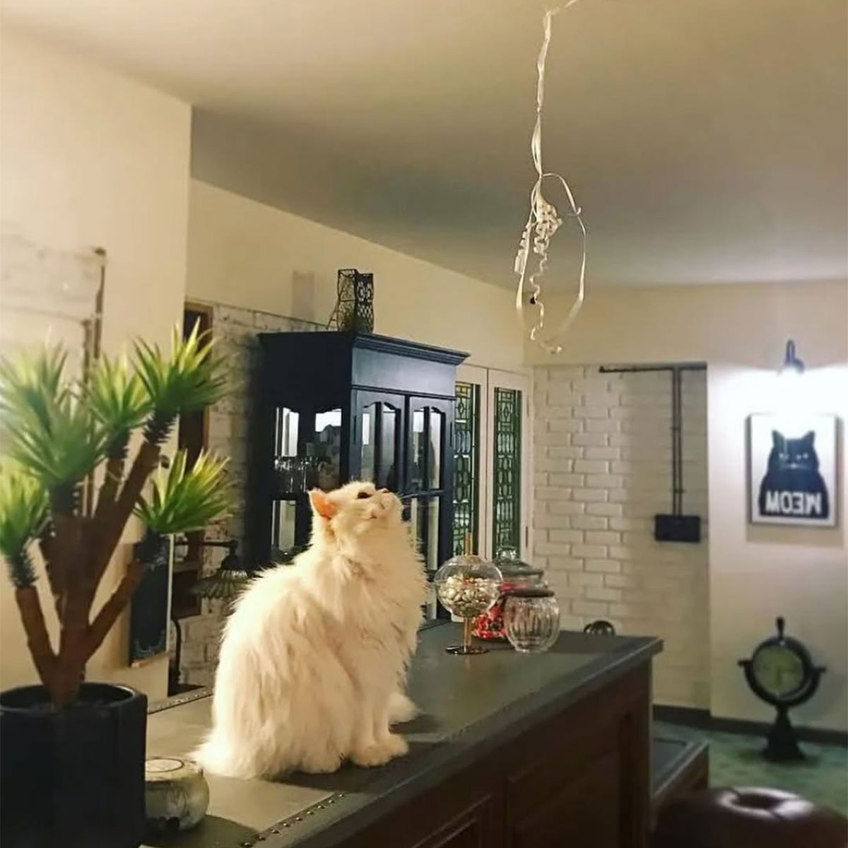 आलिया-रणबीर का घर