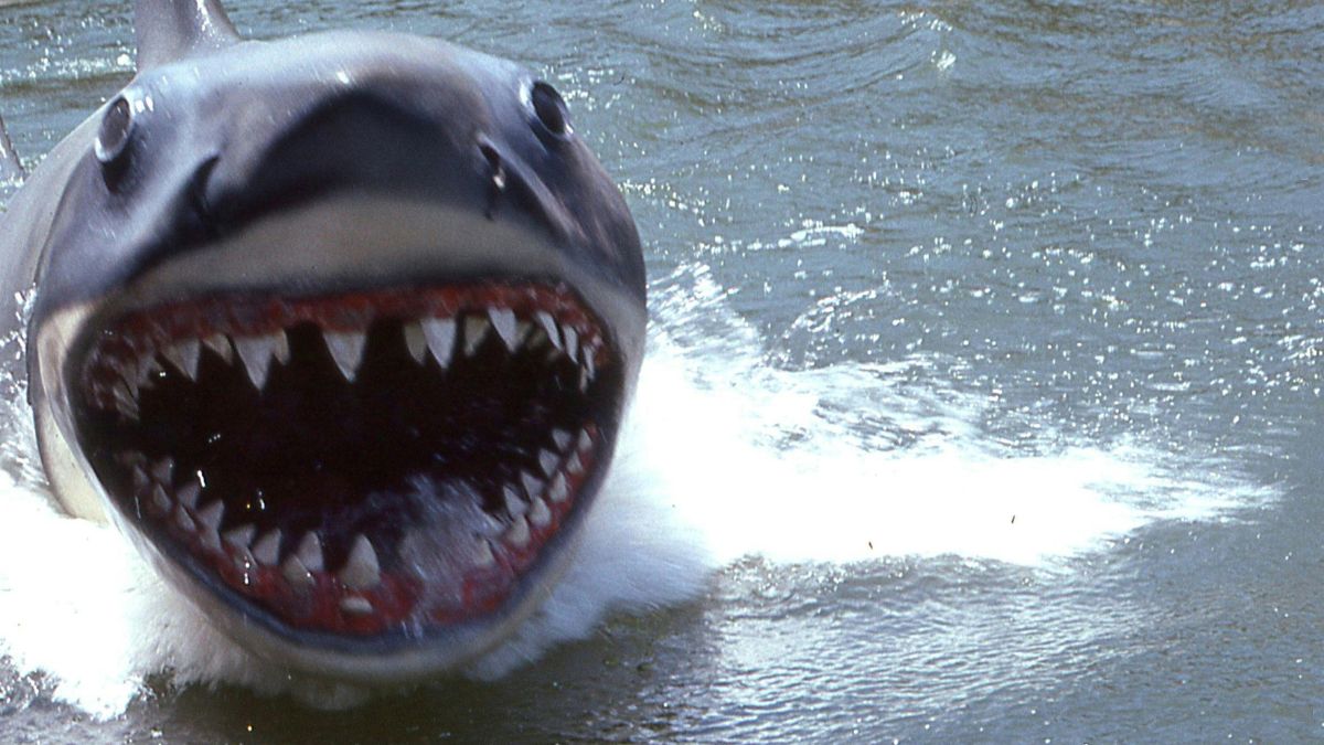 जानवरों की खुराक: दांतों की कुदरती सफाई का राज