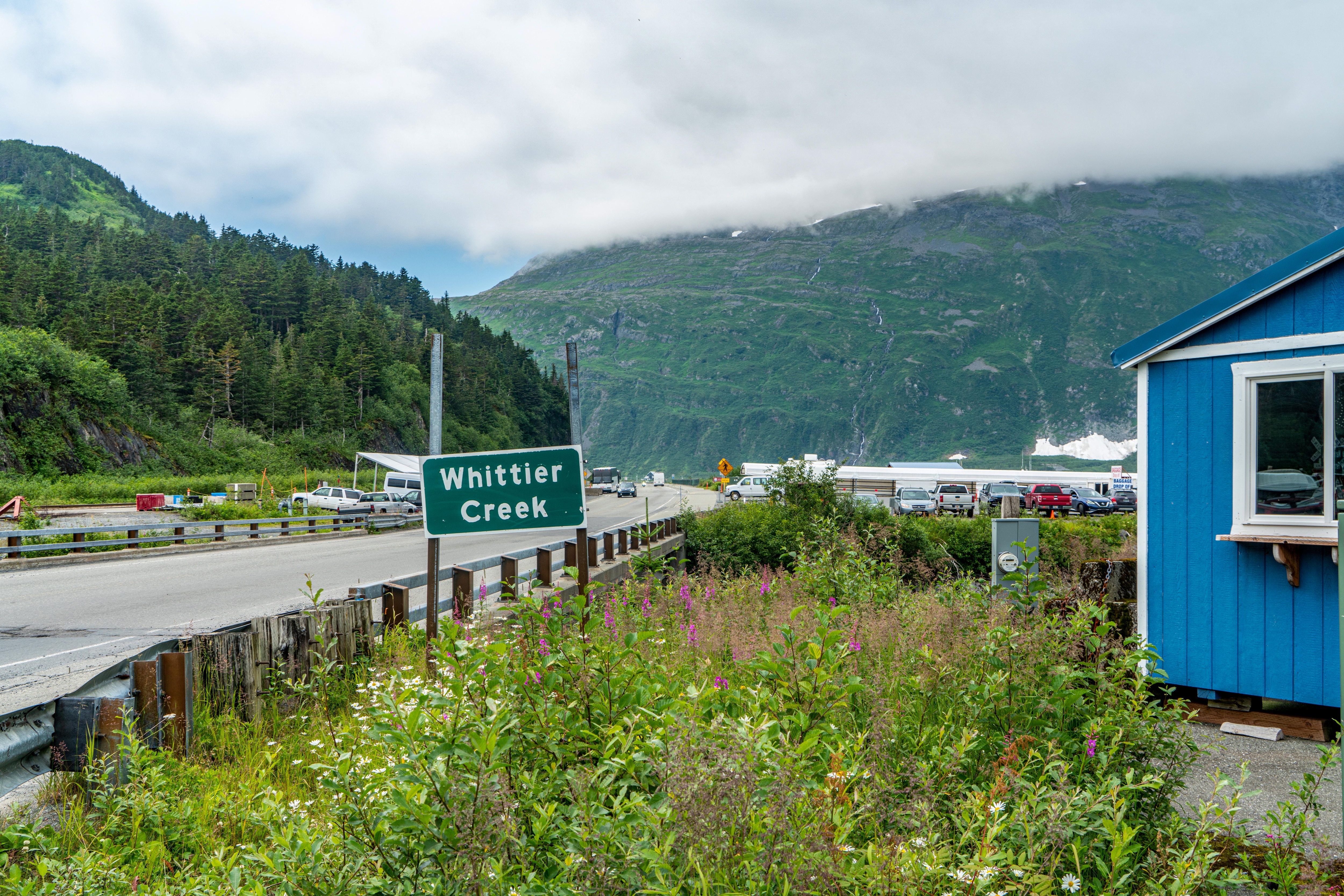 इस बिल्डिंग में हैं कुल 196 अपार्टमेंट