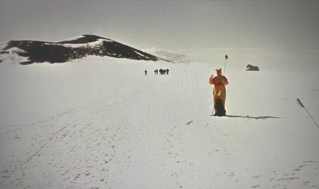 आर्कटिक में विनी द पूह?