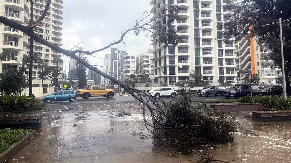 cyclone Alfred, Australia