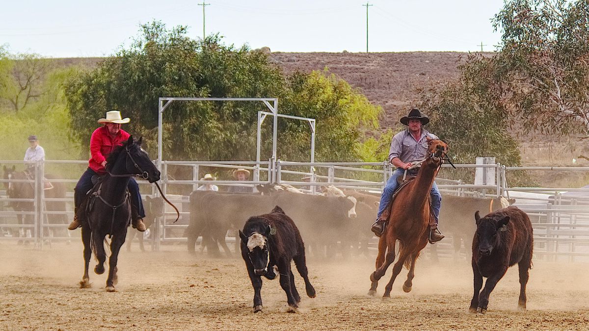   वर्ल्ड हैप्पीनेस रिपोर्ट में हमेशा यही देश टॉप पर क्यों? जानिए खुशहाल जिंदगी का राज!