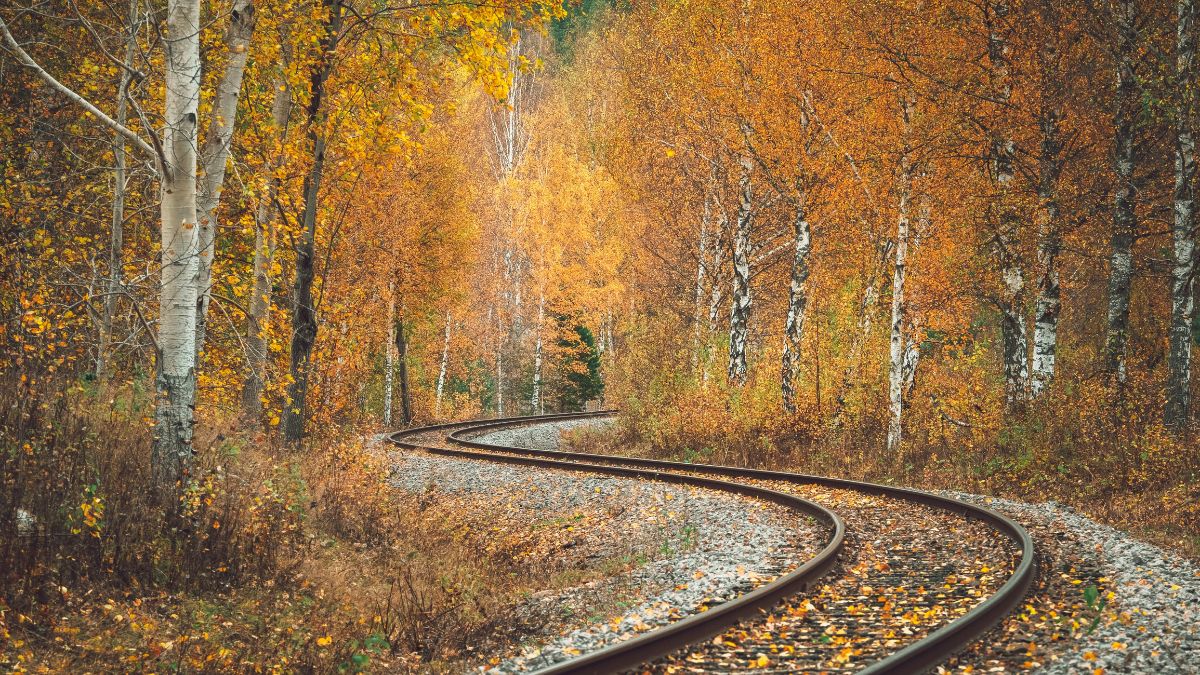   वर्ल्ड हैप्पीनेस रिपोर्ट में हमेशा यही देश टॉप पर क्यों? जानिए खुशहाल जिंदगी का राज!