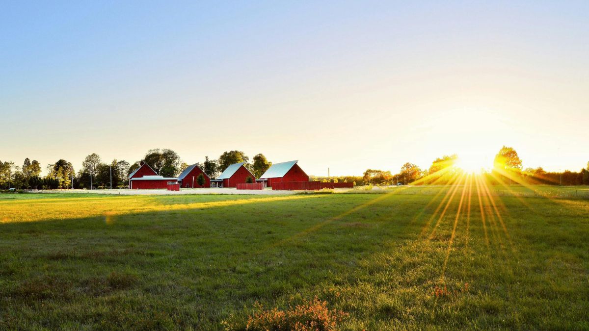 वर्ल्ड हैप्पीनेस रिपोर्ट में नॉर्डिक देश हमेशा टॉप पर क्यों? जानिए खुशहाल जिंदगी का राज!