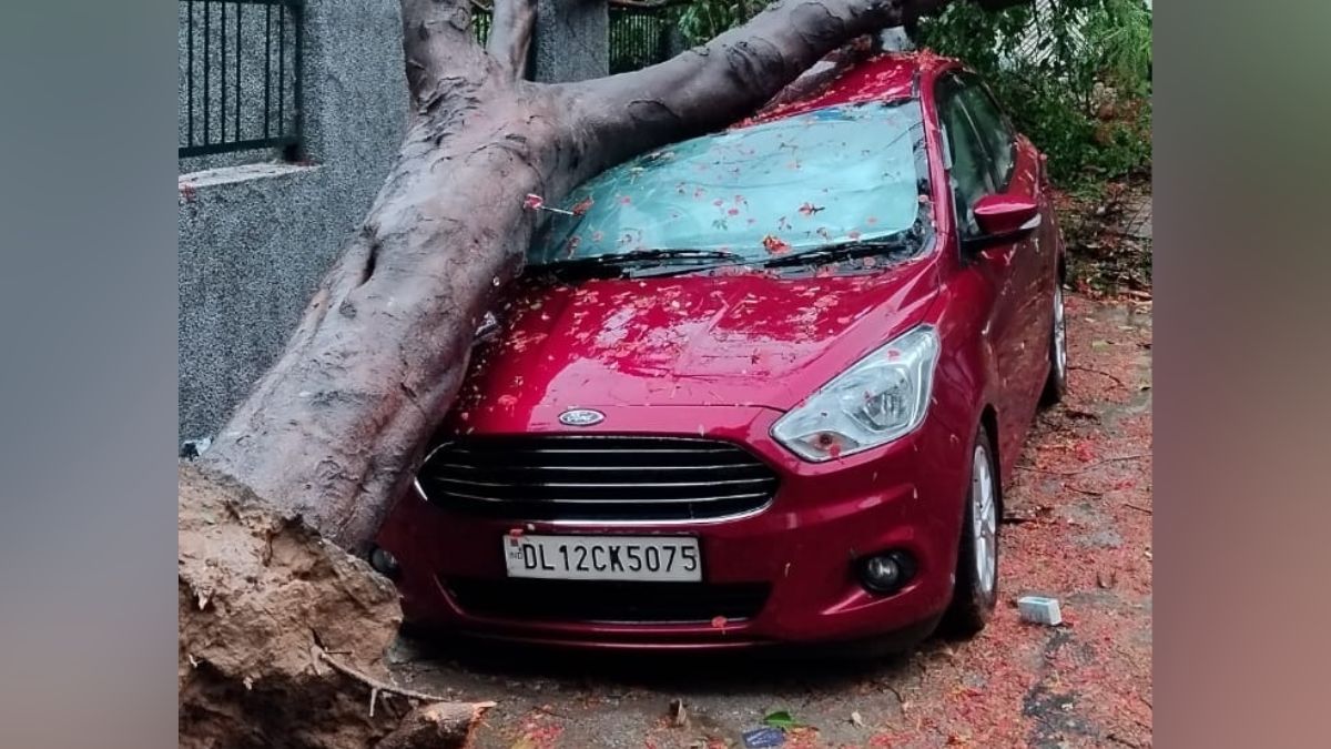 Uprooted tree blocks road after heavy rain and storm in Delhi NCR, causing traffic jam and property damage
