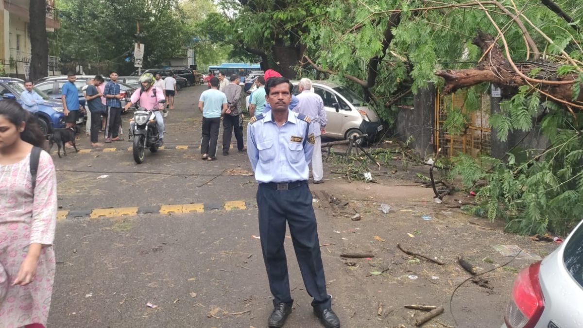 Uprooted tree blocks road after heavy rain and storm in Delhi NCR, causing traffic jam and property damage