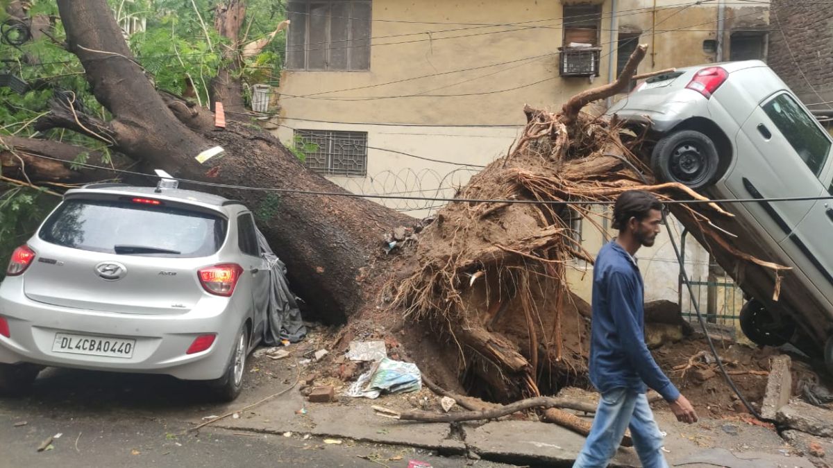 Uprooted tree blocks road after heavy rain and storm in Delhi NCR, causing traffic jam and property damage