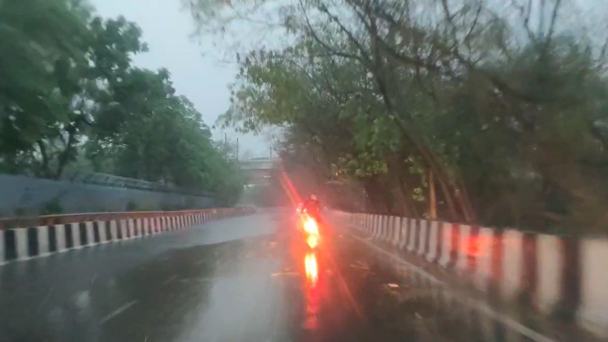 Uprooted tree blocks road after heavy rain and storm in Delhi NCR, causing traffic jam and property damage