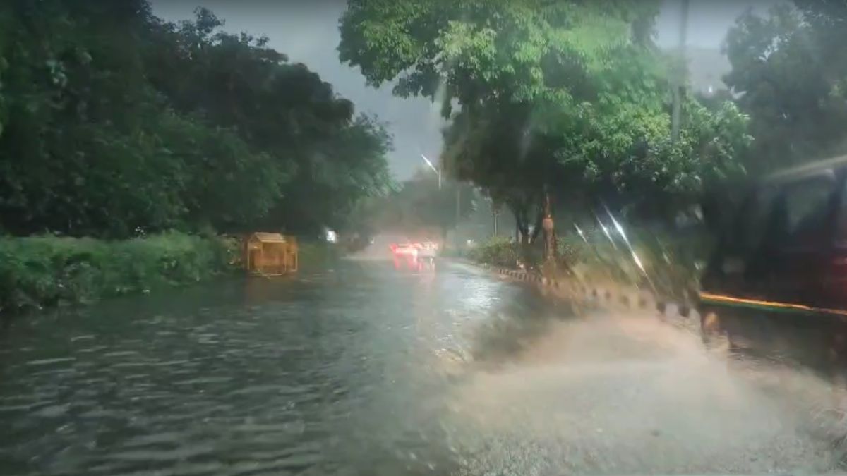 Uprooted tree blocks road after heavy rain and storm in Delhi NCR, causing traffic jam and property damage