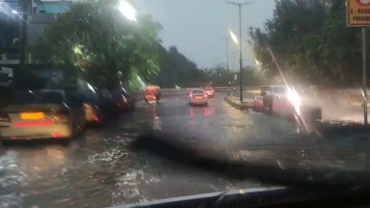 Uprooted tree blocks road after heavy rain and storm in Delhi NCR, causing traffic jam and property damage