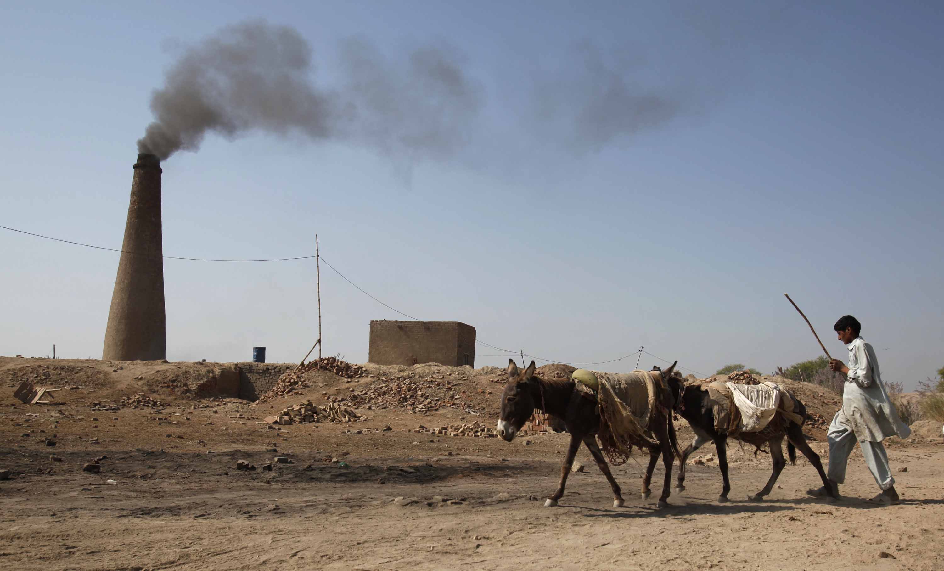 Donkeys and man near factory
