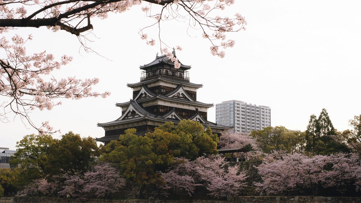 हिरोशिमा नागासाकी जिसकी तबाही के बारे में जान जाएंगो तो कभी न्यूक्लियर वॉर का नाम नहीं लेंगे