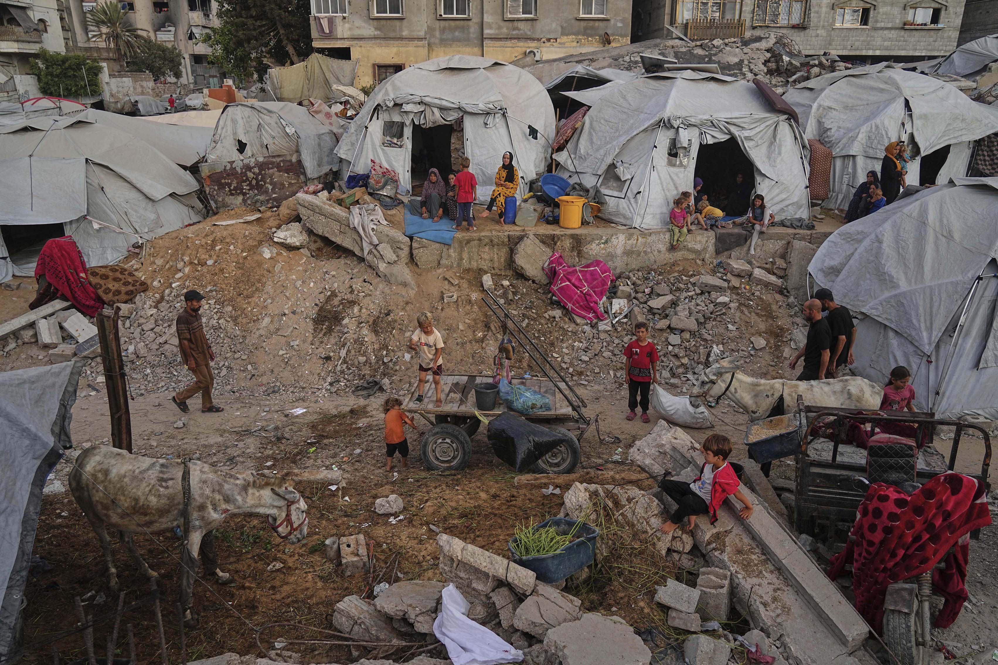 children of Palestine