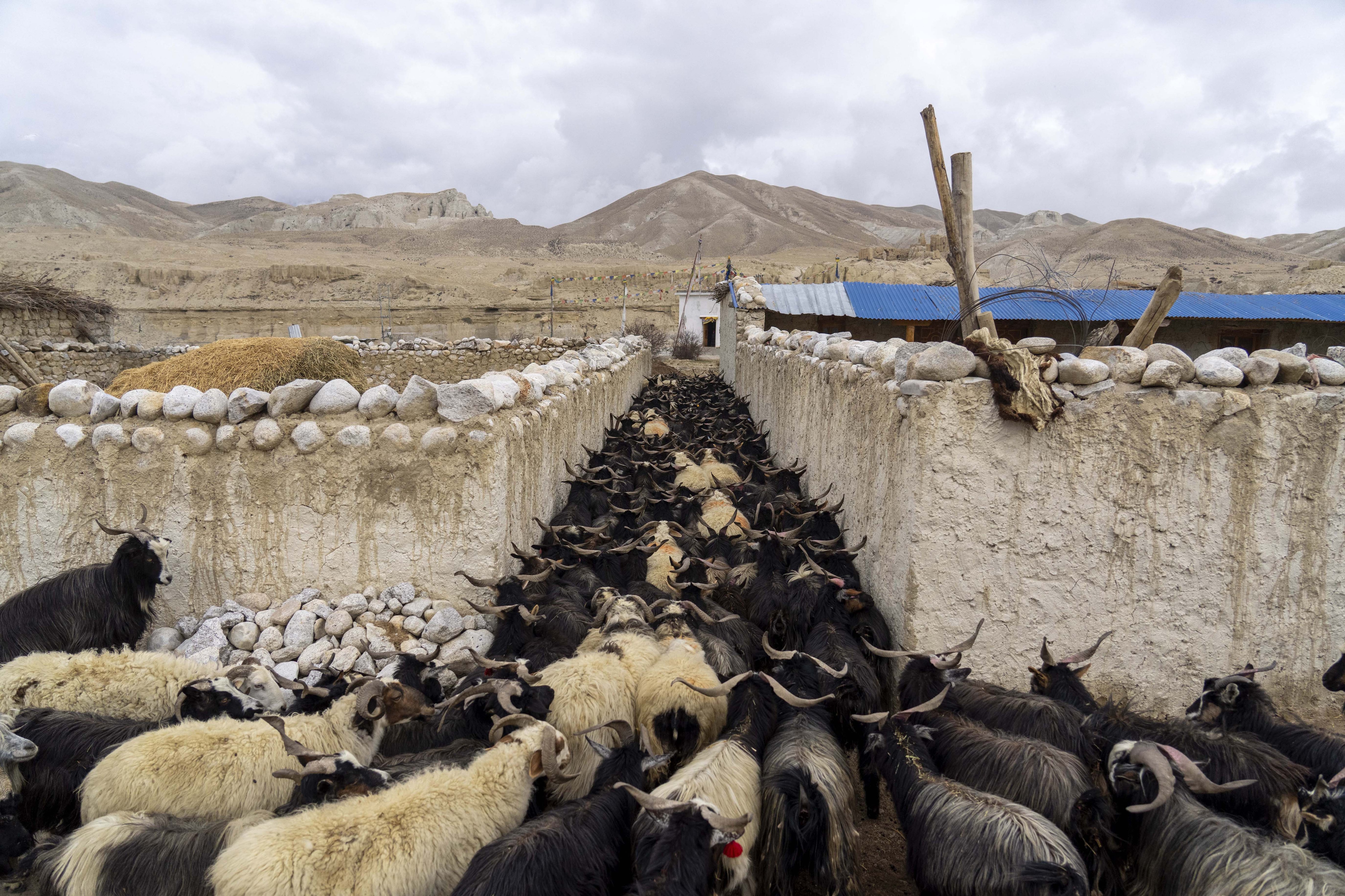  nepal village himalaya climate change 