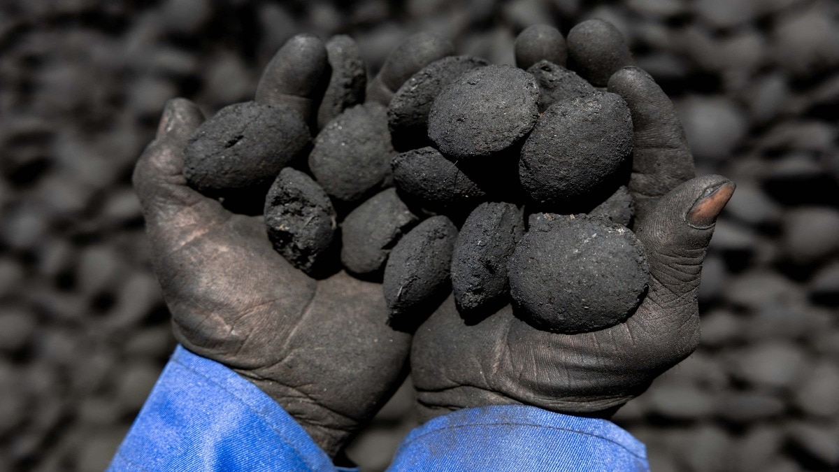 green charcoal chad