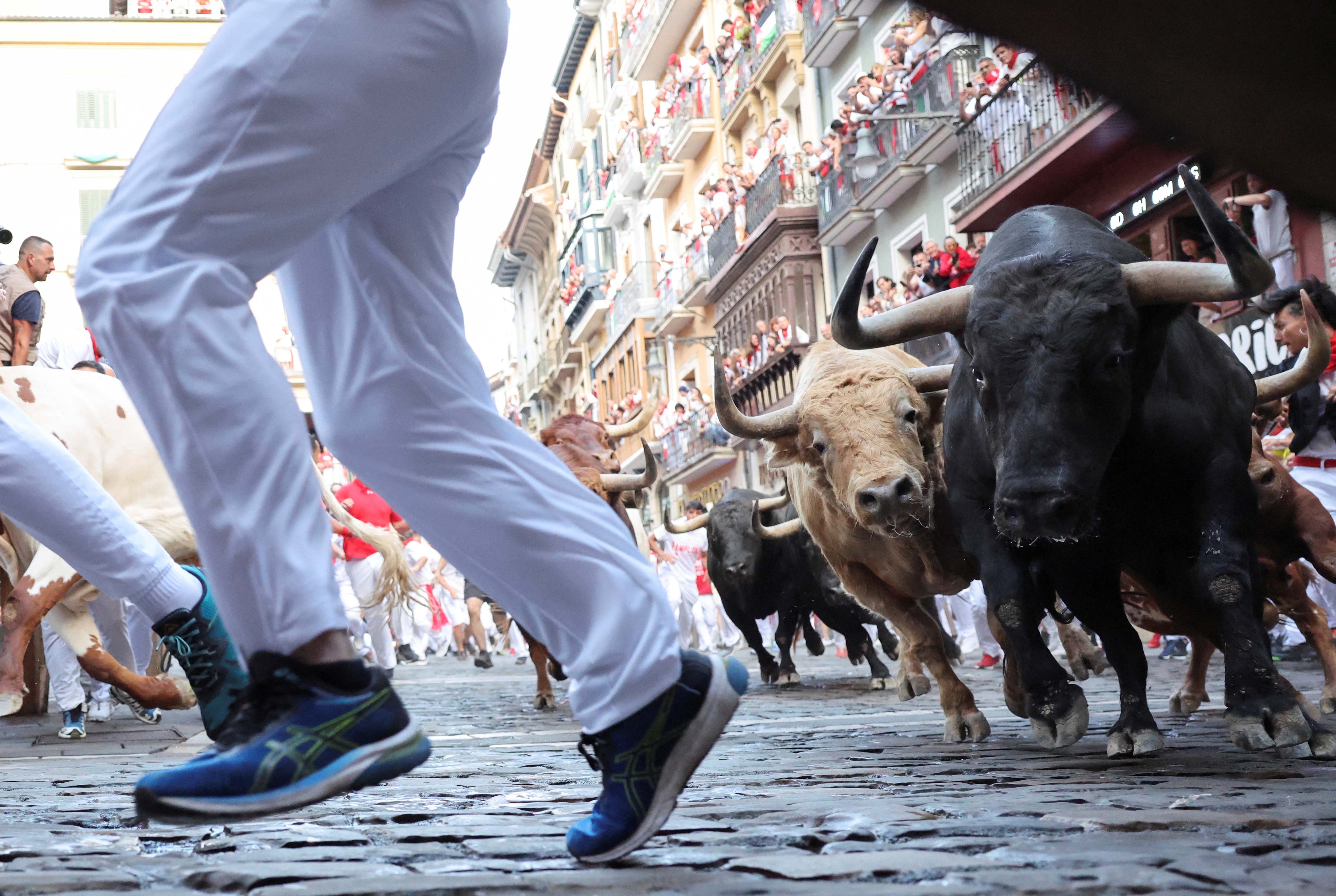 bull race festival pamplona ​​spain